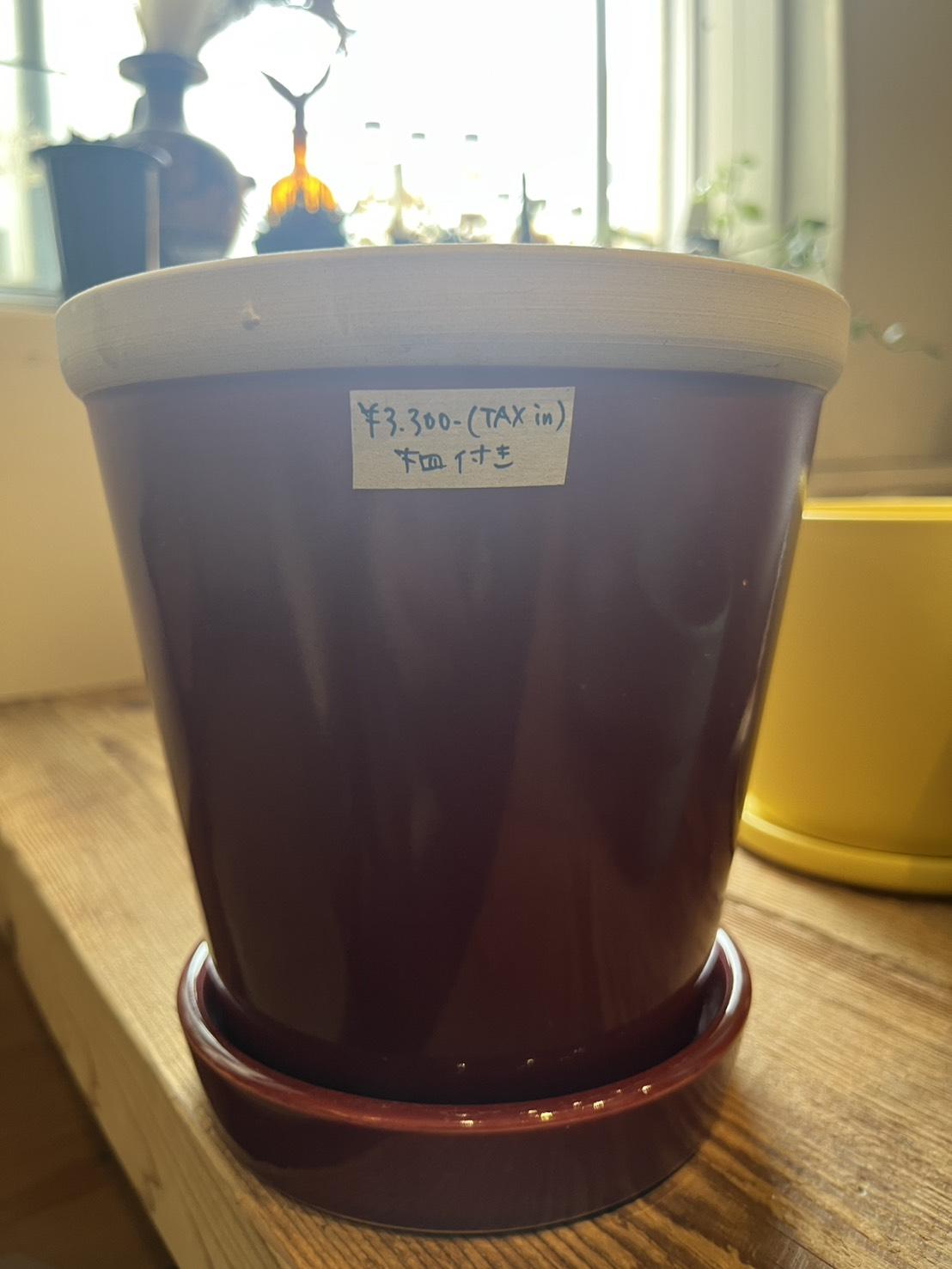 plant pot_001