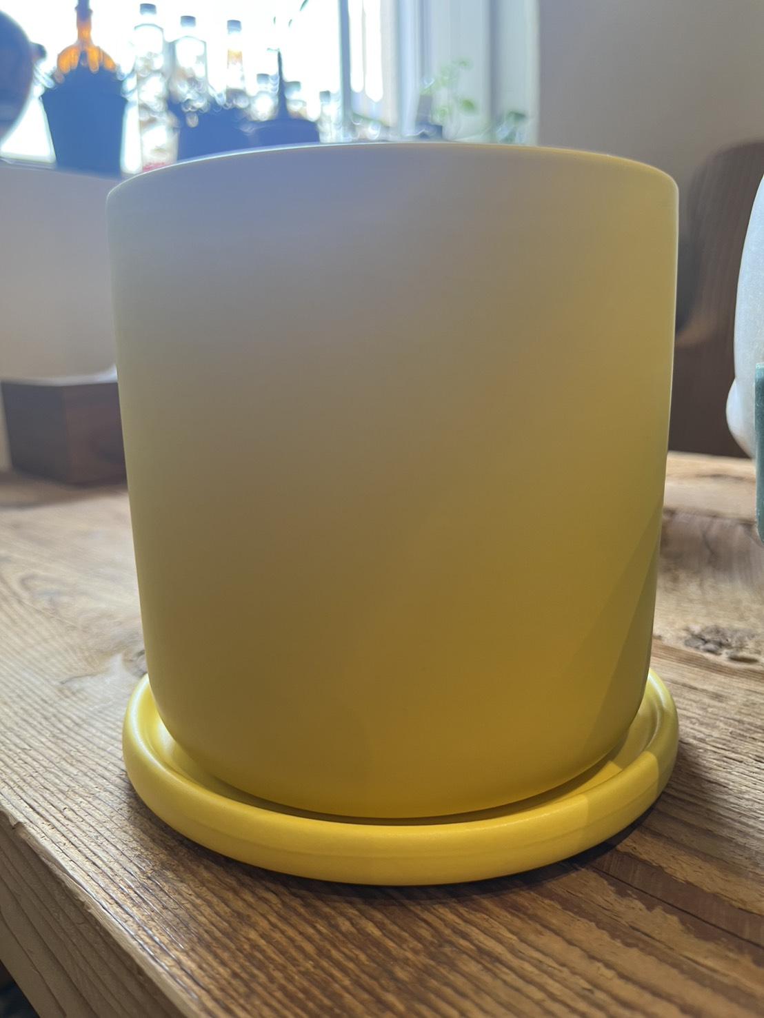 plant pot_002
