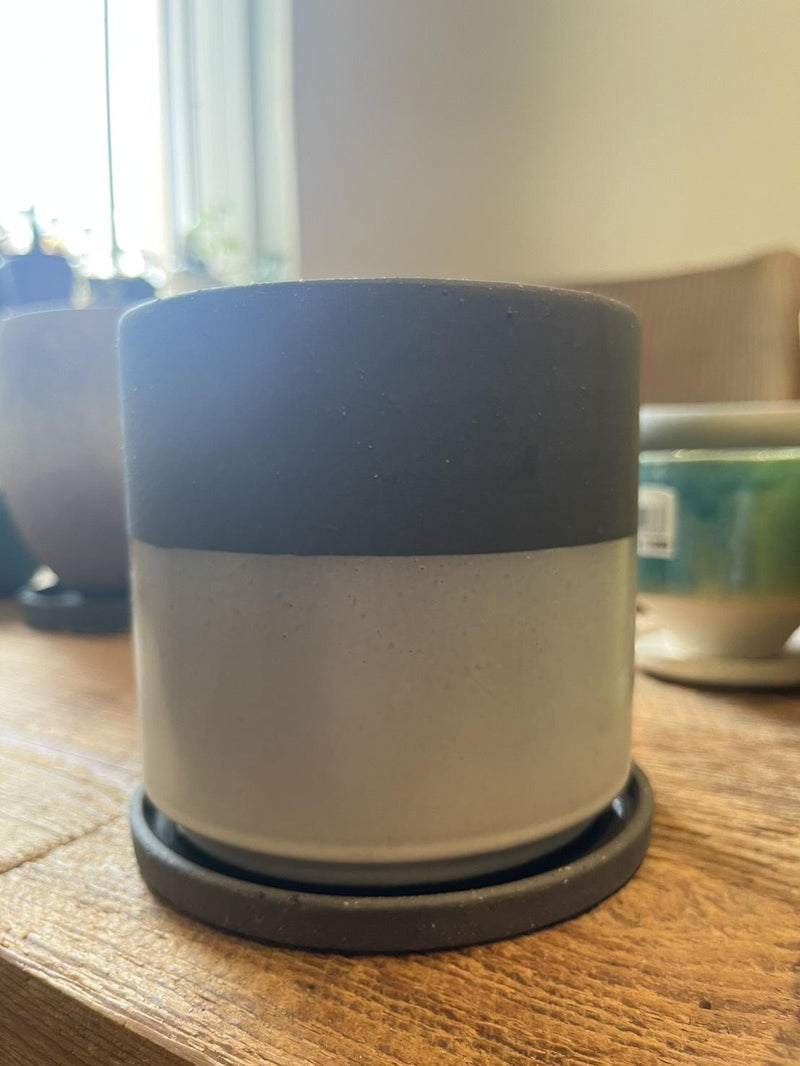 plant pot_006