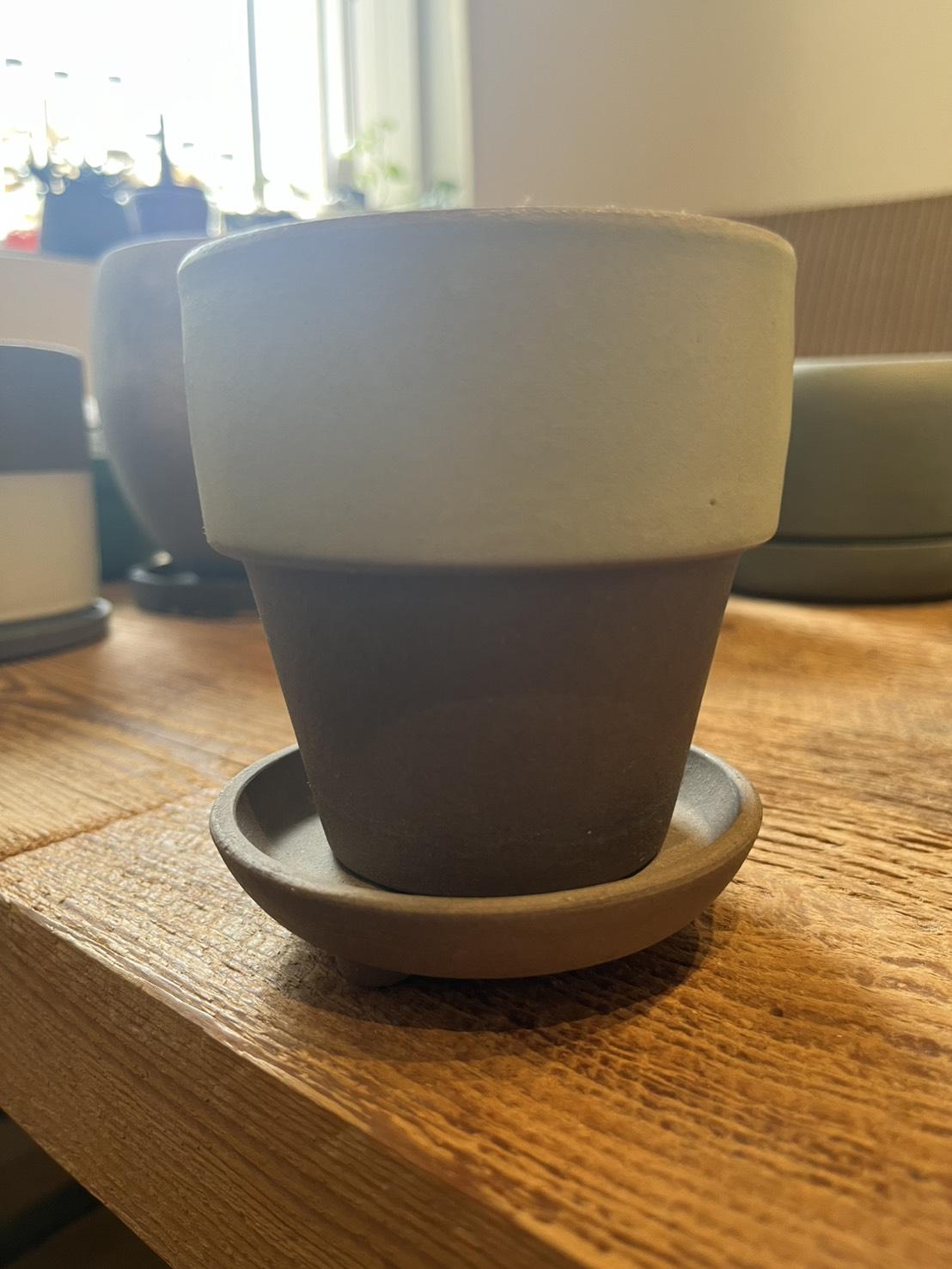 plant pot_009