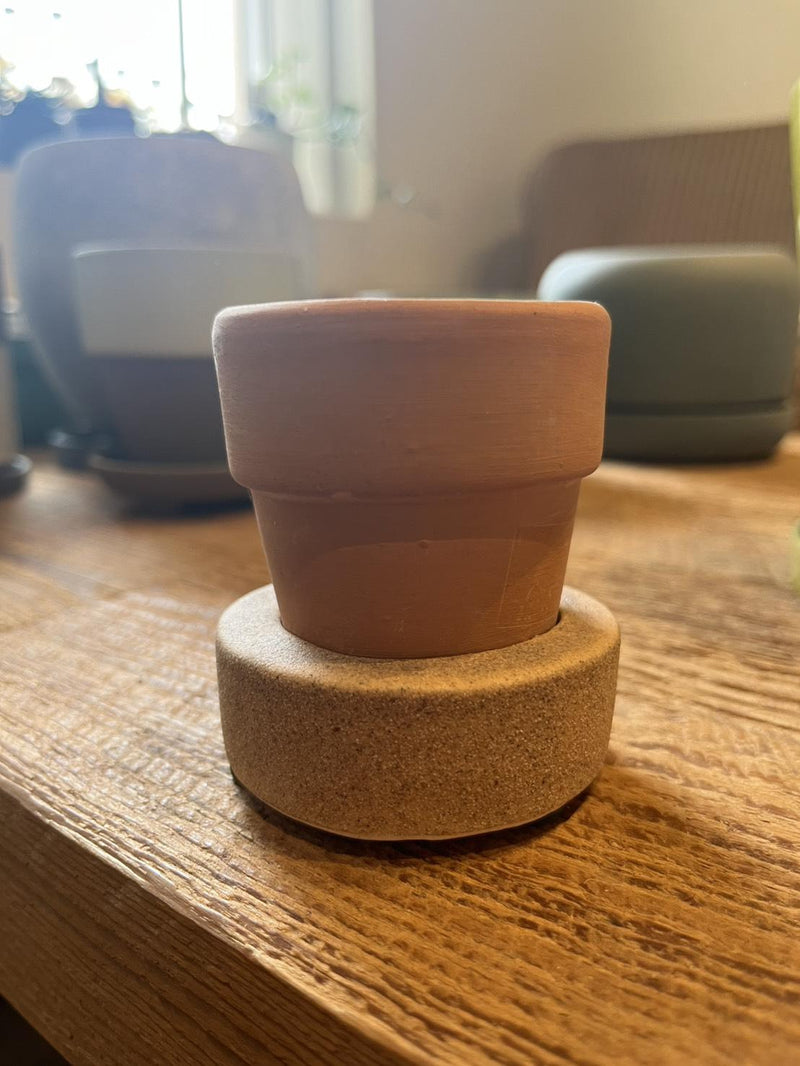 plant pot_010