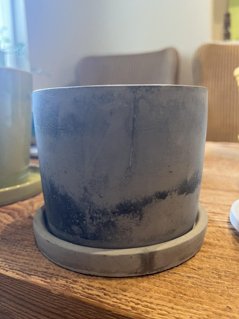 plant pot_013