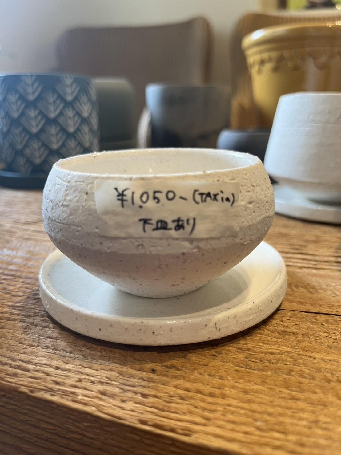 plant pot_016