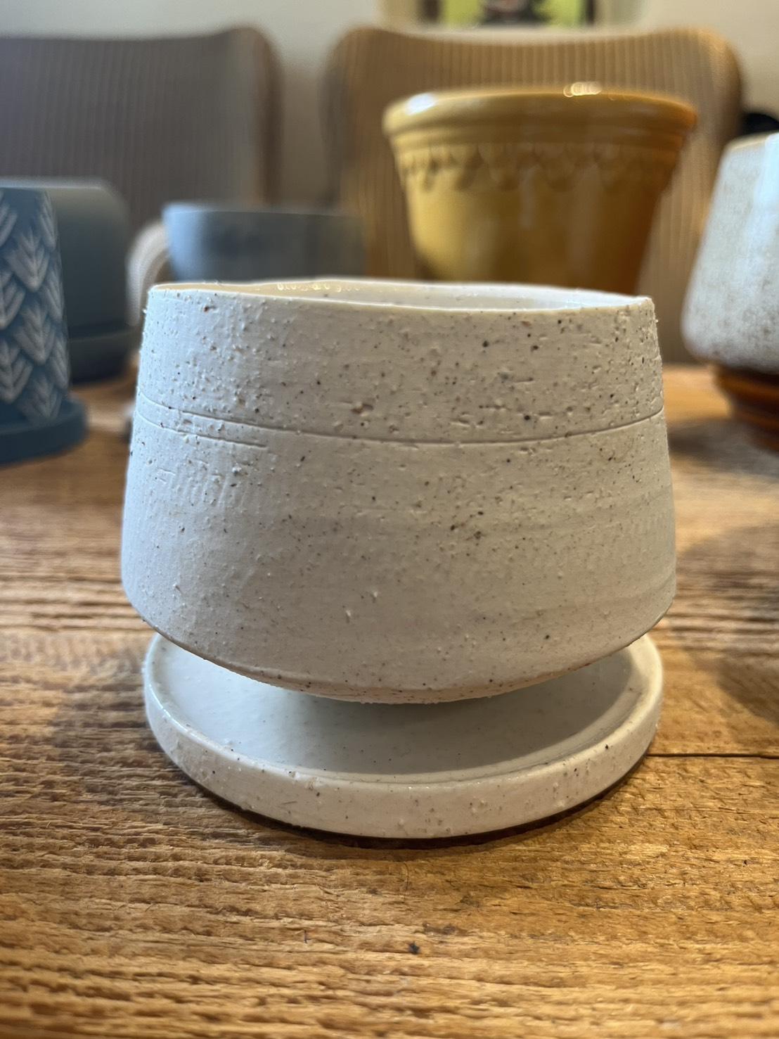 plant pot_017