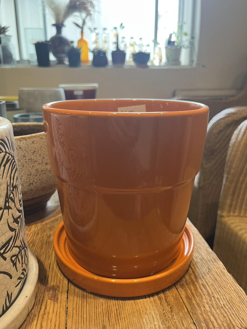 plant pot_020
