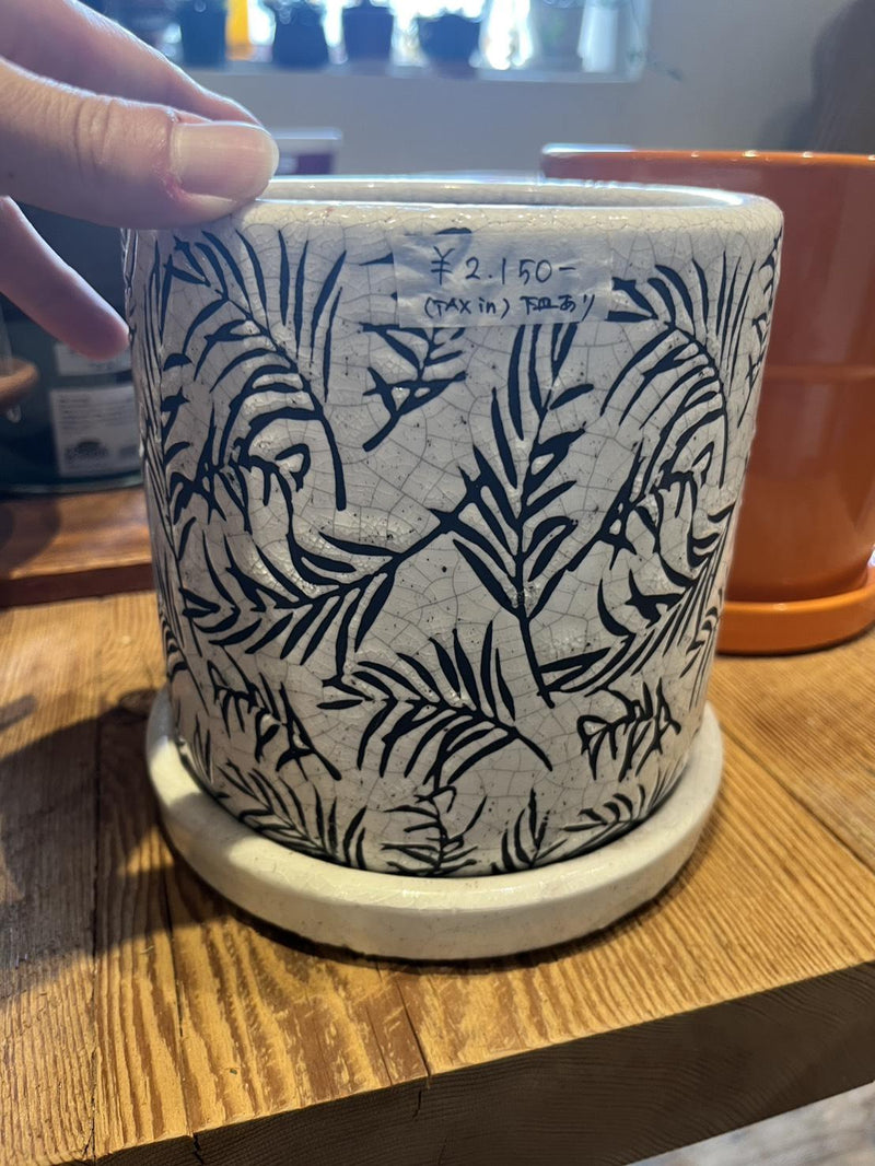 plant pot_021