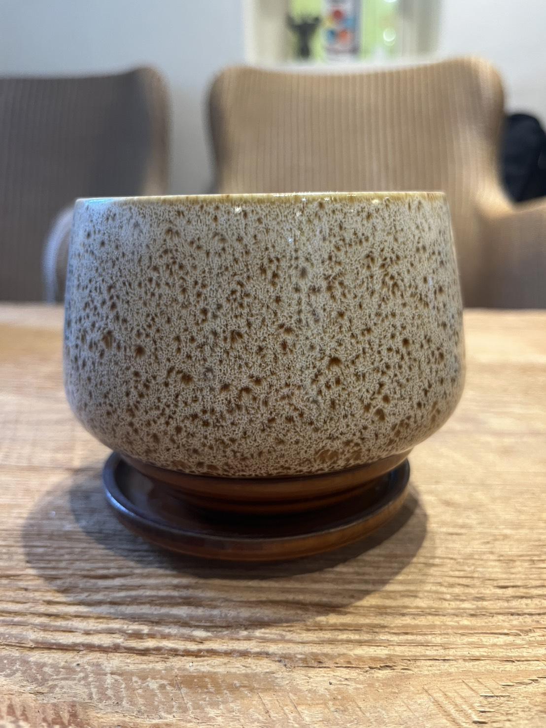 plant pot_038
