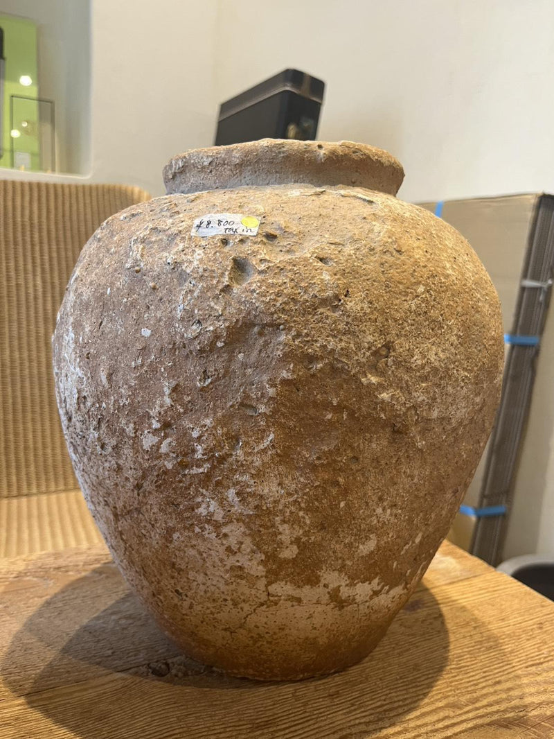 plant pot_058